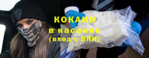 сатива Аркадак