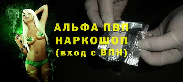сатива Аркадак