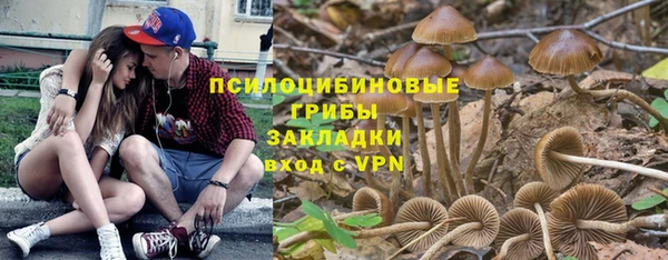 прущий лед Арсеньев