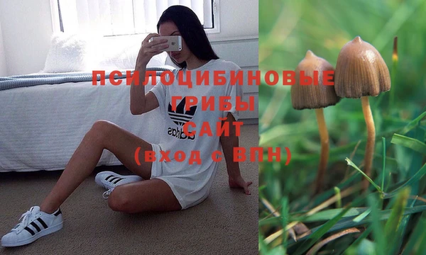 прущий лед Армянск
