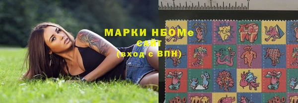 сатива Аркадак