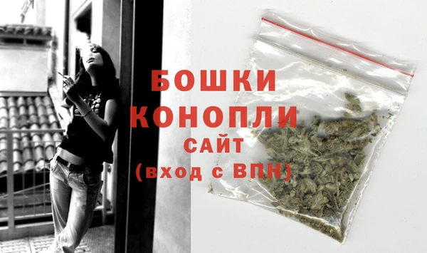 сатива Аркадак