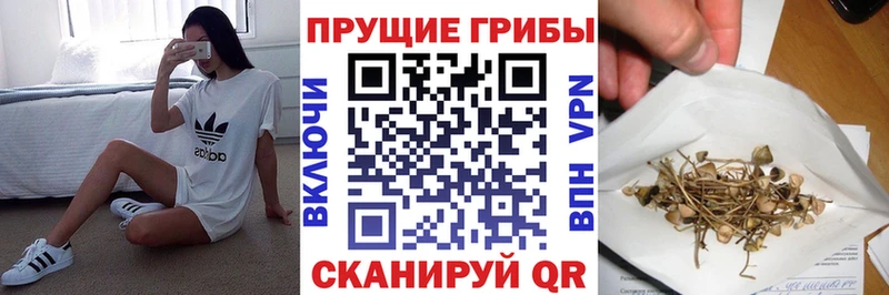 Галлюциногенные грибы Magic Shrooms  Прохладный 